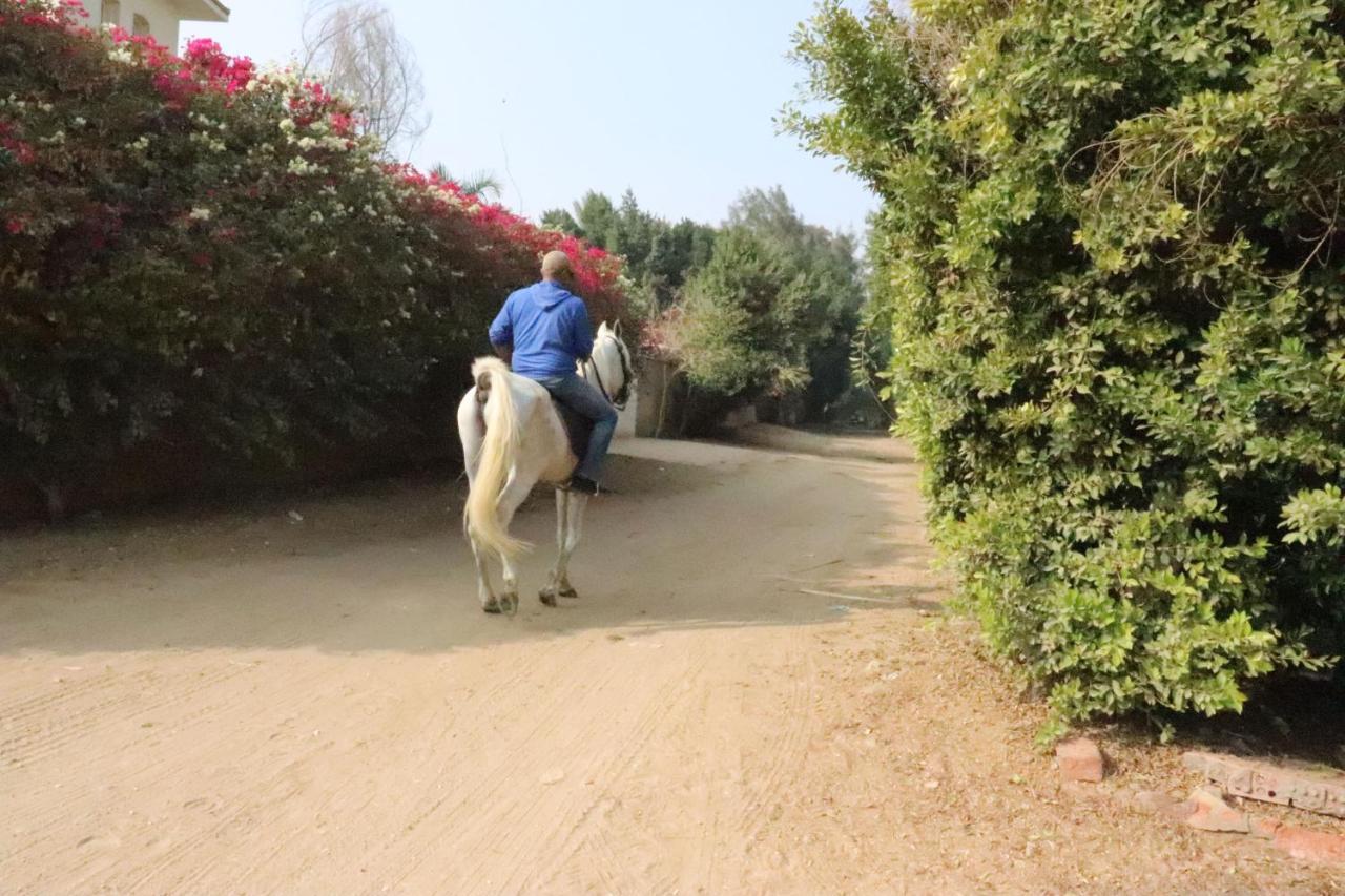 The Farm - Hotel&Horse Riding Caïro Buitenkant foto